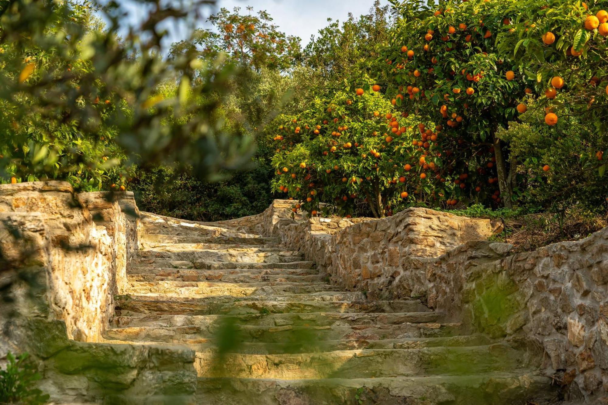 Ammou Area Villa Ammouliani Exterior photo